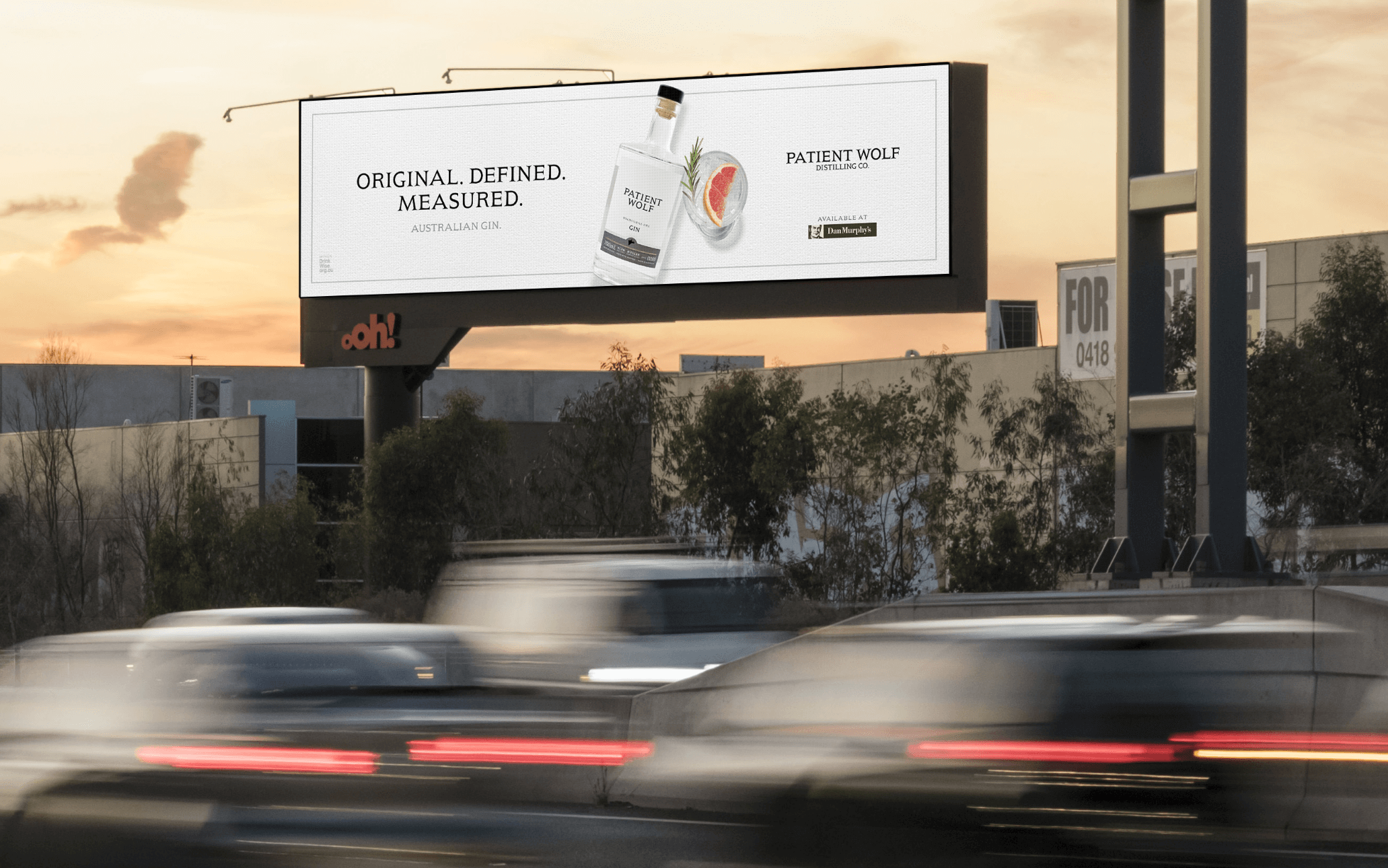PatientWolf_Campaign
